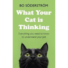 What Your Cat Is Thinking