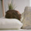 Slumberdown Slumberdown Memory Foam Plus Firm Pillow 2 Pack UK Made, Supportive 5