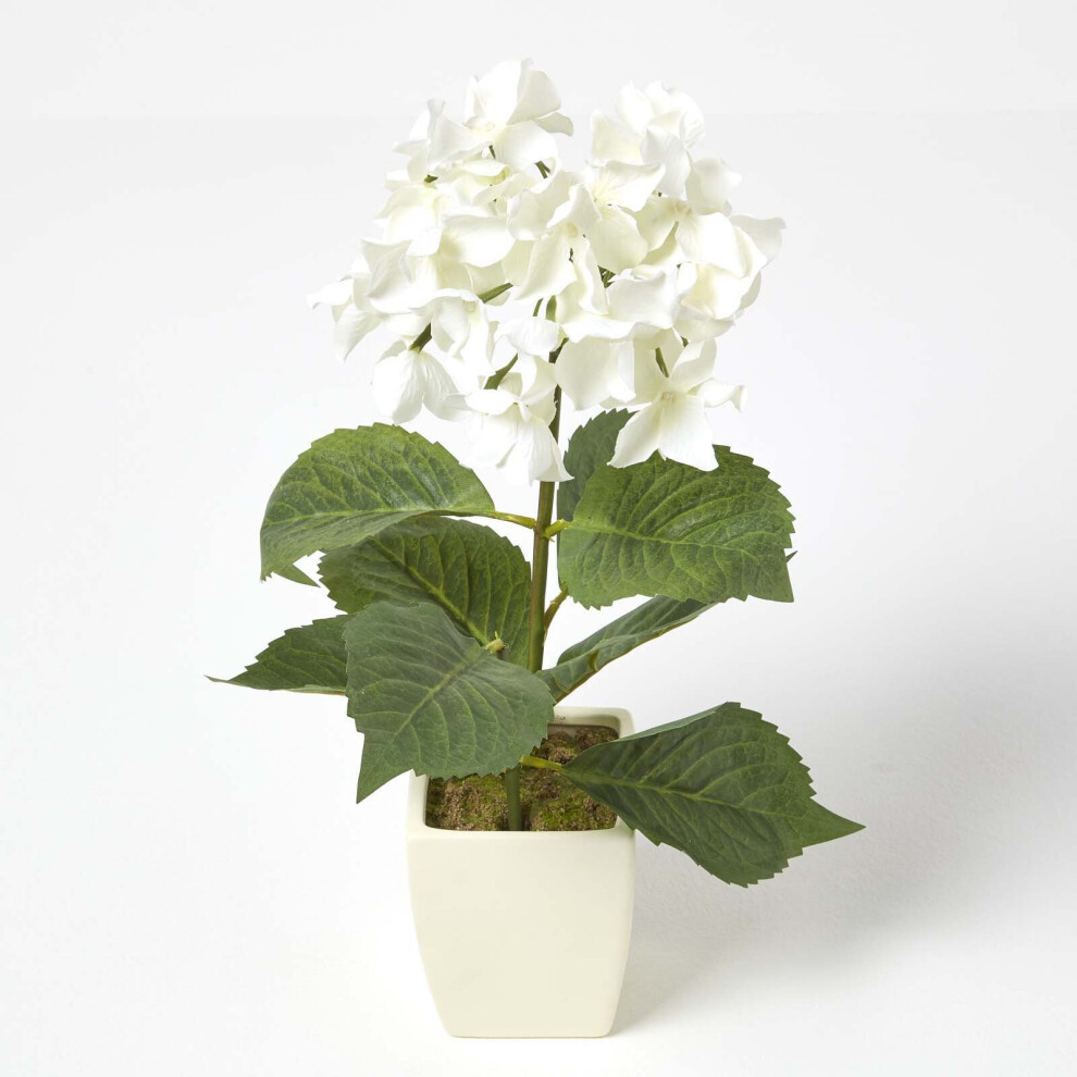 Homescapes (Cream) Artificial Hydrangea Flower In Cream Pot, 38 Cm Tall