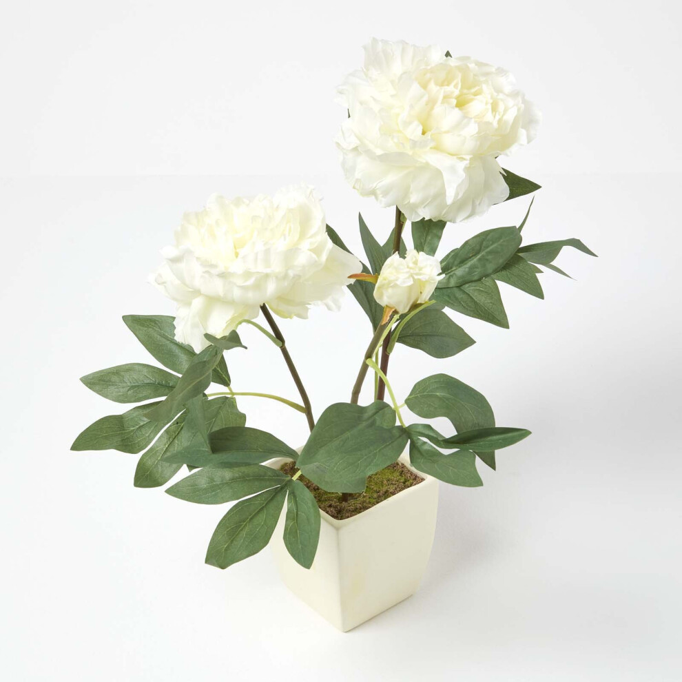 Homescapes (Cream) Artificial Peonies In Decorative Pot, 48 Cm Tall Cream