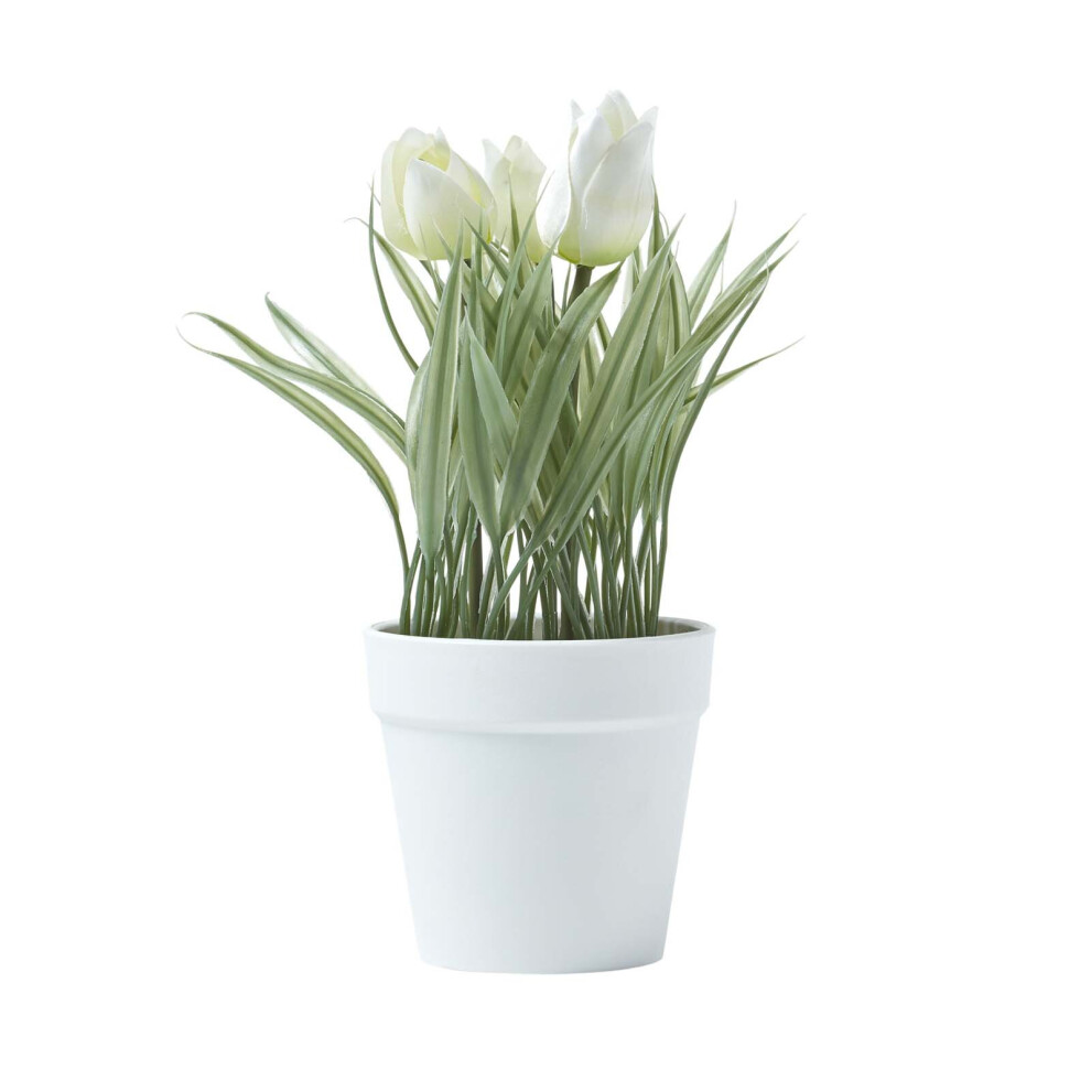 Homescapes (White) Artificial Tulips In Decorative Pot, 22 Cm Tall White