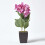 Homescapes (Pink) Artificial Hydrangea Flower in Cream Pot, 38 cm Tall 2