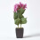 Homescapes (Pink) Artificial Hydrangea Flower in Cream Pot, 38 cm Tall 6