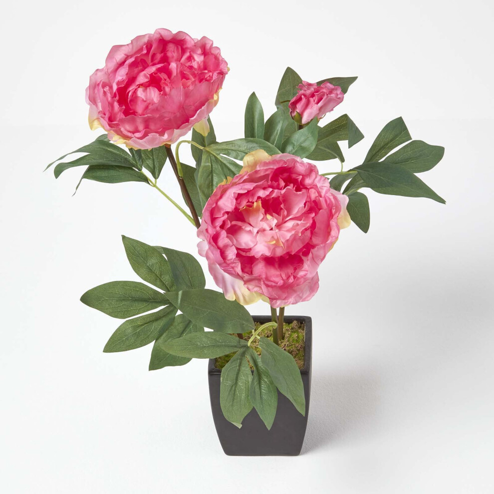 Homescapes (Pink) Artificial Peonies In Decorative Pot, 48 Cm Tall Pink
