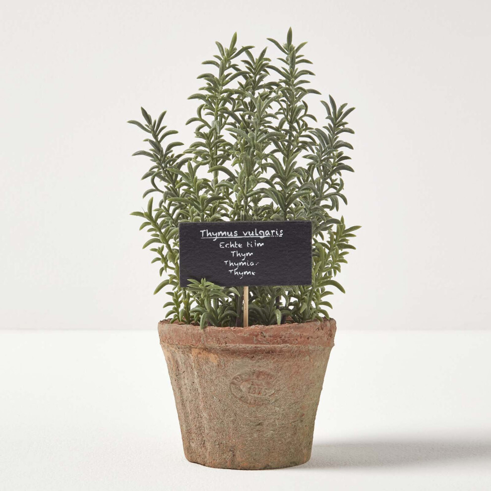 Homescapes Artificial Thyme Plant In Decorative Pot