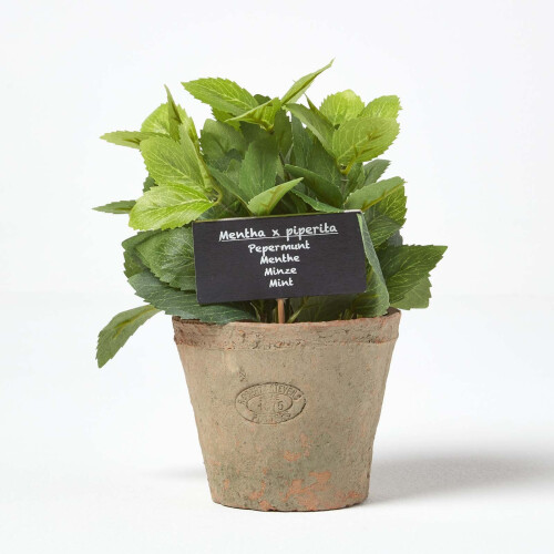 Homescapes Homescapes Artificial Mint Plant in Decorative Pot