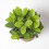 Homescapes Homescapes Artificial Mint Plant in Decorative Pot 2