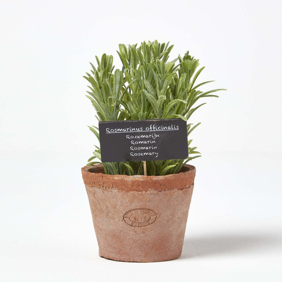 Homescapes Artificial Rosemary Plant In Decorative Pot