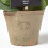 Homescapes Homescapes Artificial Mint Plant in Decorative Pot 3