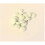 Copper - 2mg - 30 Tablets 1