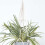 Homescapes Homescapes Artificial Hanging Basket Spider Plant, 95 cm 5