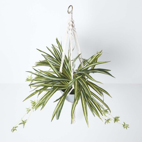 Homescapes Homescapes Artificial Hanging Basket Spider Plant, 95 cm 1