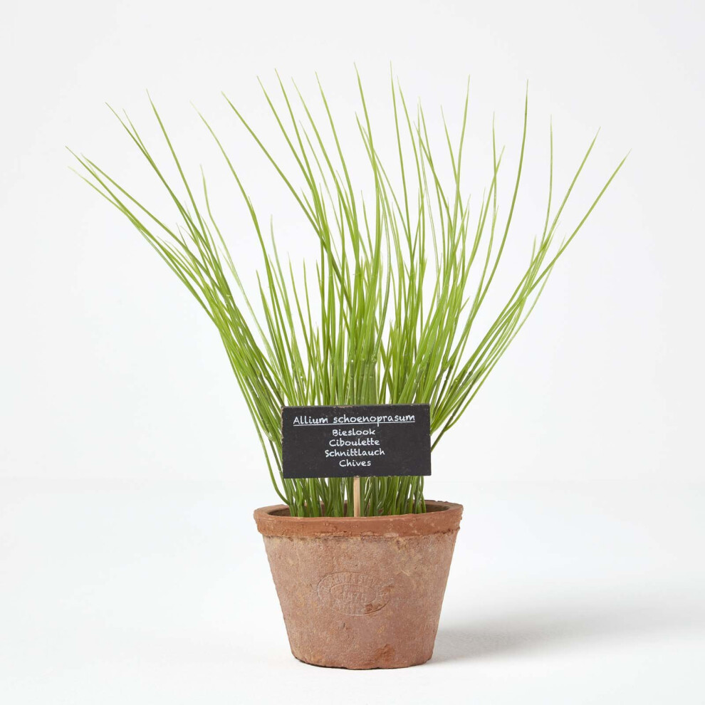 Homescapes Artificial Chive Plant In Decorative Pot