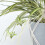 Homescapes Homescapes Artificial Hanging Basket Spider Plant, 95 cm 4