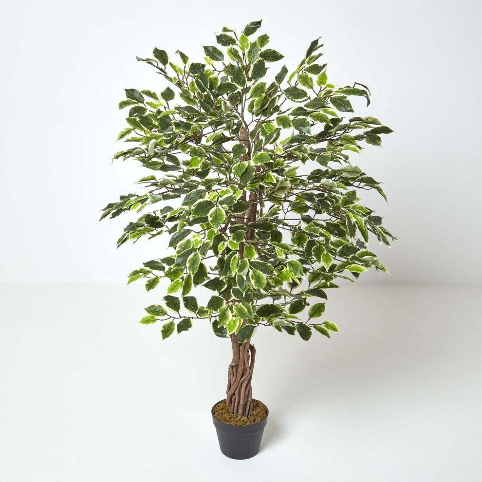 Homescapes (4 Ft (120 Cm), Variegated) Artificial Ficus Tree With Twisted Real Wood Trunk