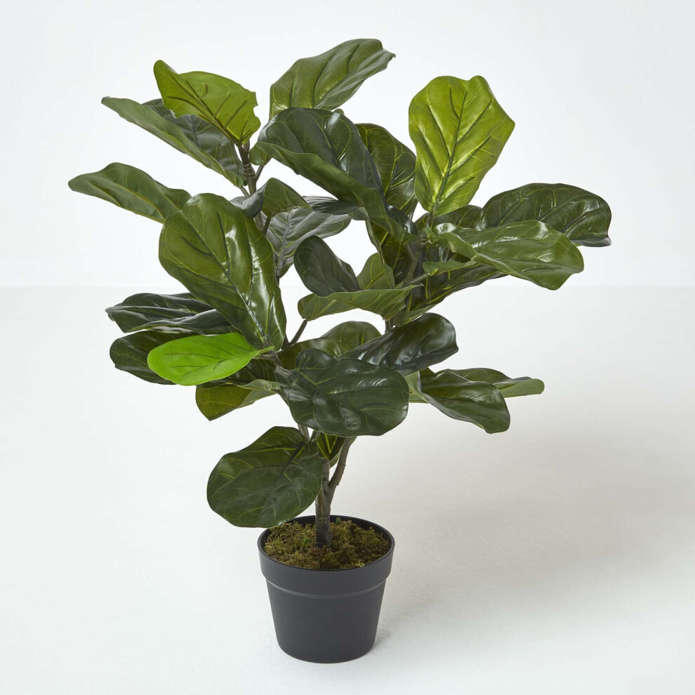 Homescapes Artificial Fiddle Leaf Fig Tree In Pot, 70 Cm Tall Green