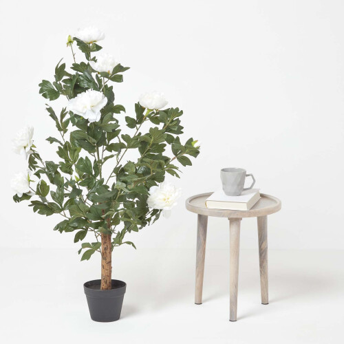 Homescapes (Cream) Artificial Peony Tree in Black Pot, 100 cm Tall 1