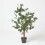 Homescapes (Cream) Artificial Peony Tree in Black Pot, 100 cm Tall 1