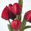 Homescapes (Red) Artificial Tulips in Grey Decorative Stone Pot, 27 cm 4
