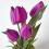 Homescapes (Purple) Artificial Tulips in Grey Decorative Stone Pot, 27 cm 4