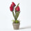 Homescapes (Red) Artificial Tulips in Grey Decorative Stone Pot, 27 cm 5