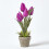 Homescapes (Purple) Artificial Tulips in Grey Decorative Stone Pot, 27 cm 5