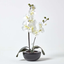 Homescapes Oriental Cream Orchid in Black Ceramic Bowl - 54cm Tall Silk Flower Arrangement (AP1259)