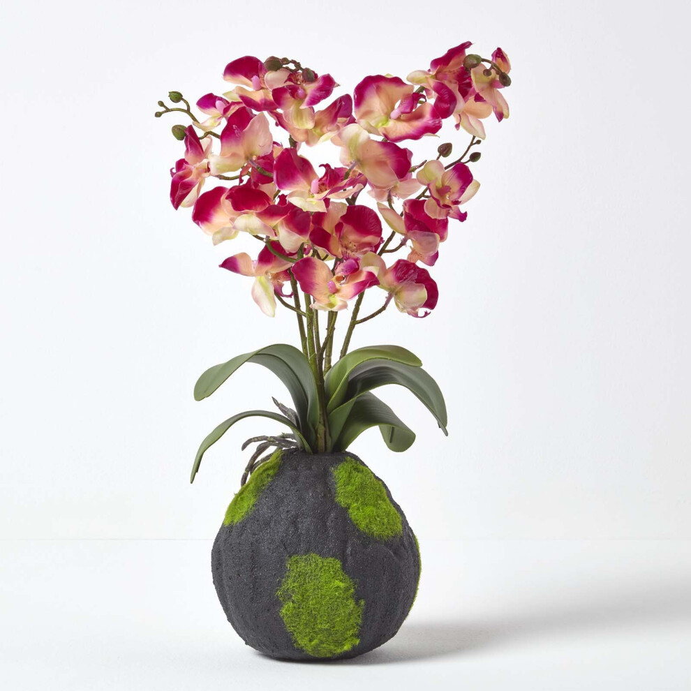 Phalaenopsis Artificial Orchid With Natural Base, 60 Cm Tall