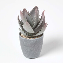 Homescapes Purple and Green Aloe Vera Artificial Succulent in Black Pot, 21 cm Tall