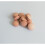 Green Tea 2000mg - 90 Tablets  95% Polyphenols One A Day Tablet 1