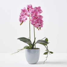 Homescapes Pink Orchid 54 cm Phalaenopsis in Ceramic Pot