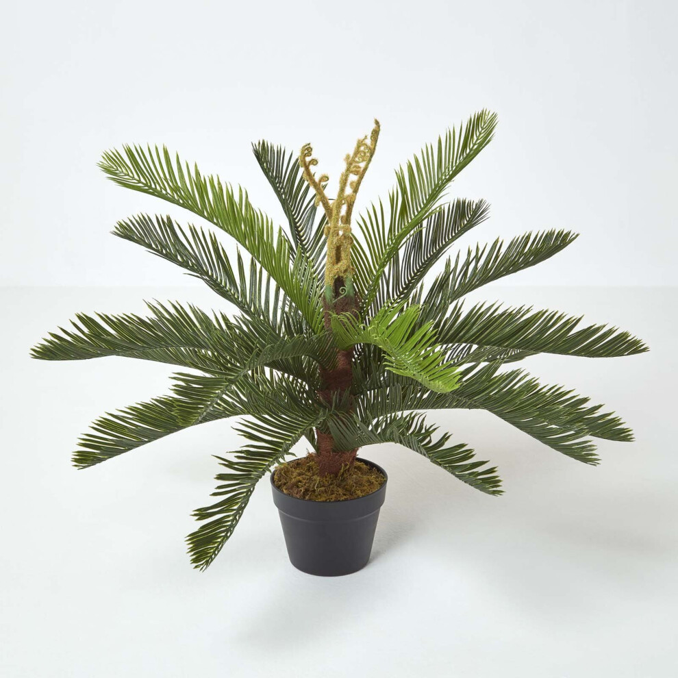 Homescapes Green 'Sago Palm' Artificial Cycas Plant with Pot, 75 cm-image-OPC-P8FKPN7-NEW