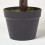Homescapes Homescapes Lilac Hydrangea Artificial Plant with Pot, 85 cm 3