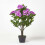 Homescapes Homescapes Lilac Hydrangea Artificial Plant with Pot, 85 cm 1