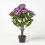 Homescapes Homescapes Lilac Hydrangea Artificial Plant with Pot, 85 cm 5