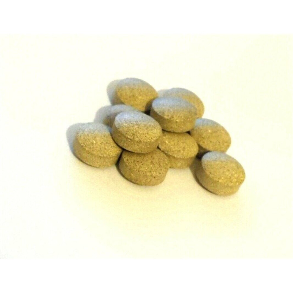 Herbal-Life-Store Ginkgo Biloba 6000Mg 90 Tablets