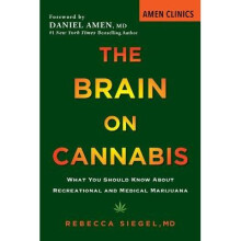 The Brain On Cannabis