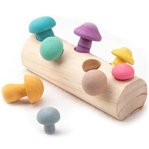 Wooden Rainbow Blocks Mushroom Picking Game Shape Matching Assembly Grasp