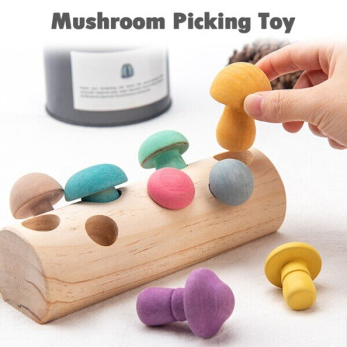 Wooden Rainbow Blocks Mushroom Picking Game Shape Matching Assembly Grasp 1