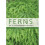 Ferns for a Cool Temperate Climate 1