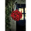 Garden Store Direct Christmas Topiary Poinsettia Ball - 27cm 2