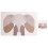 Premier Housewares SET OF 2 ELEPHANT PLACEMAT AND COASTER 1