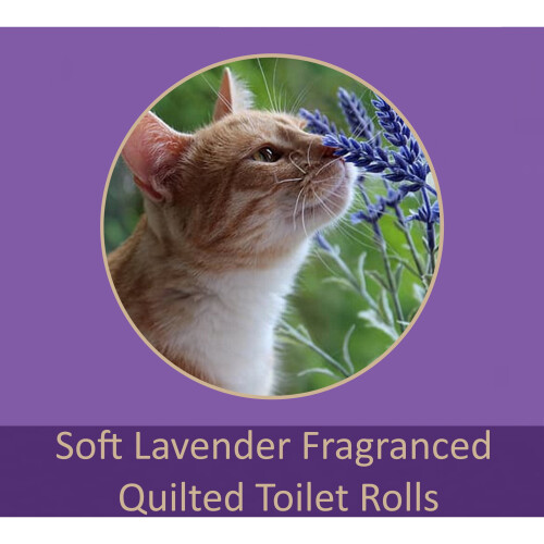 60 Phoenix Toilet Roll Bulk BuyQuilted White 3 Ply Lavender Fragranced