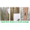 MCC (Beige) MCC Pop-up Gazebo 2m x 2m With Sides 3