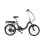 (8.8ah) Basis Osprey Folding Low Step 20" E-Bike Folding 1