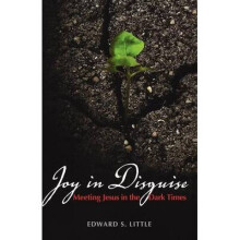 Joy in Disguise