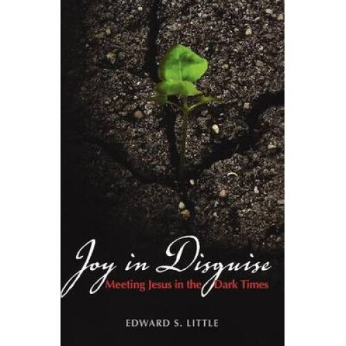 Joy in Disguise