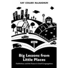 Big Lessons from Little Places