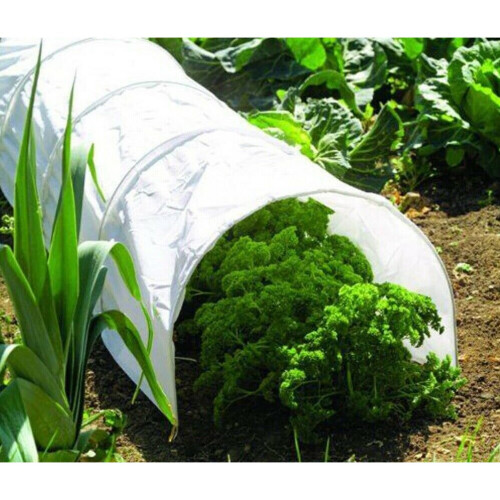 Kingfisher Transparent PE Grow Tunnel 1