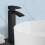 NES Home Matte Black Tall High Rise Mono Mixer Tap, Waste 1